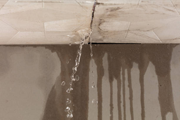 Professional Structural Drying technician working in La Rue, OH